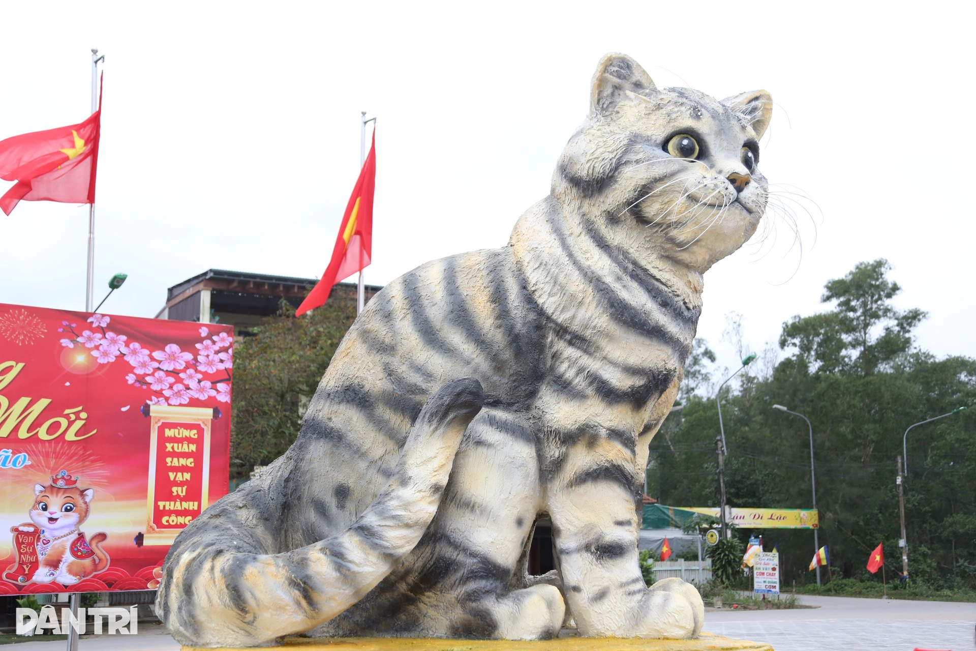 Vietnamese zodiac cat quiz illustration
