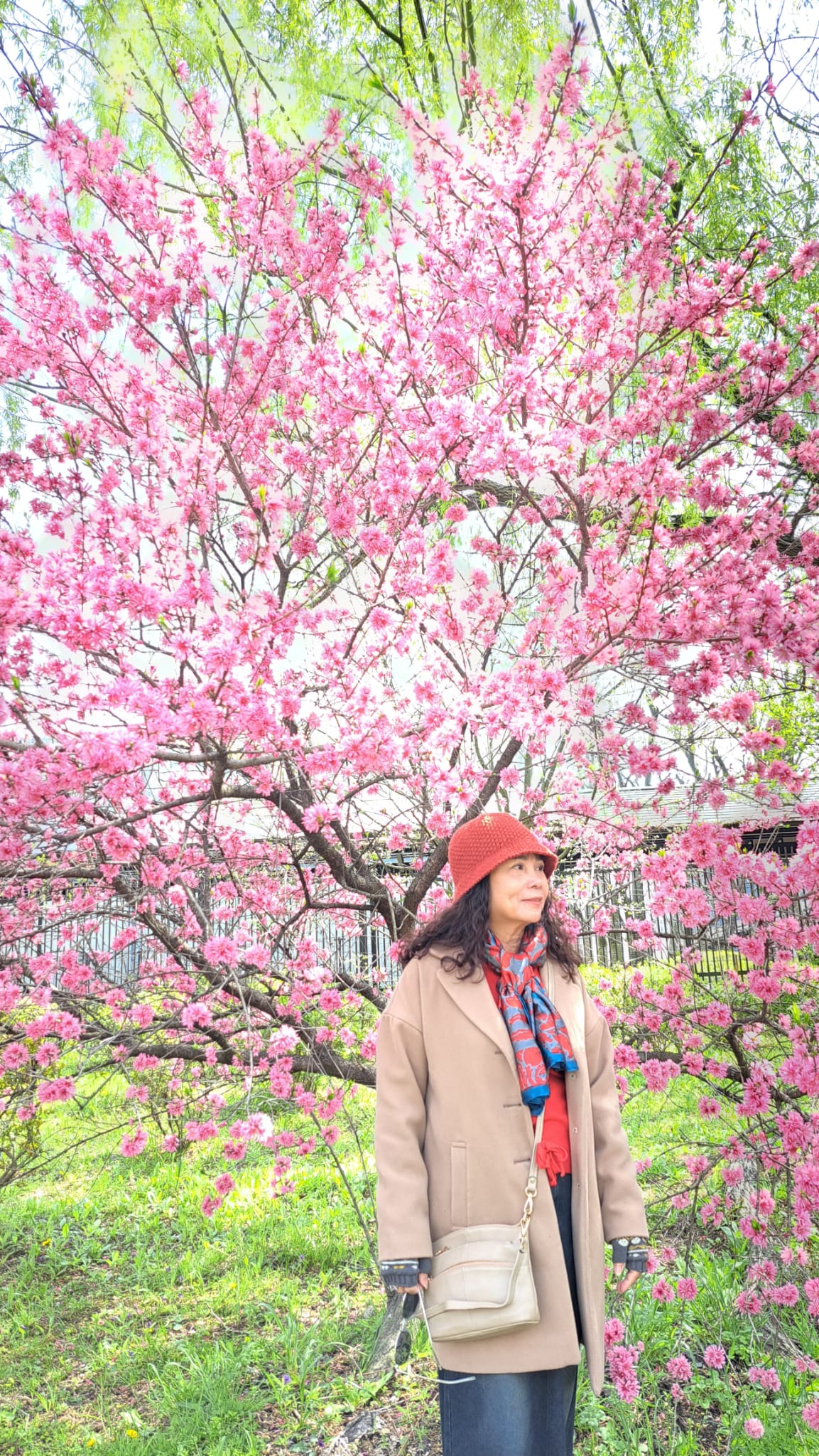 Family trip in Japan 2